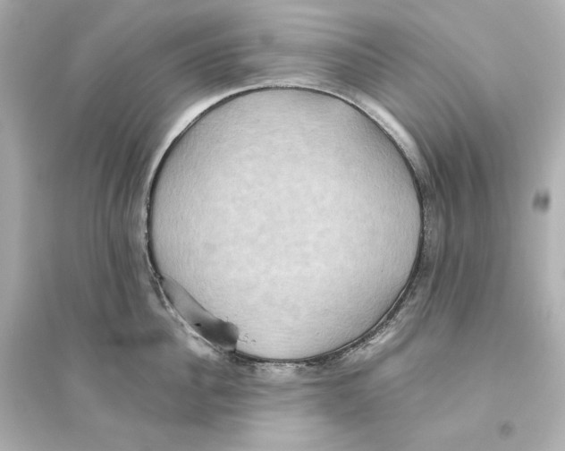 X0000093610956200711121209