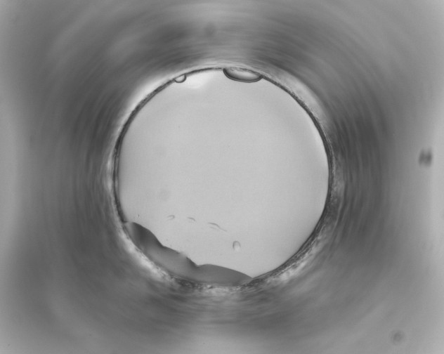 X0000093610958200711121209
