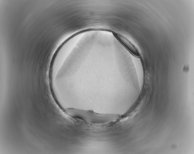 X0000093610959200711121209