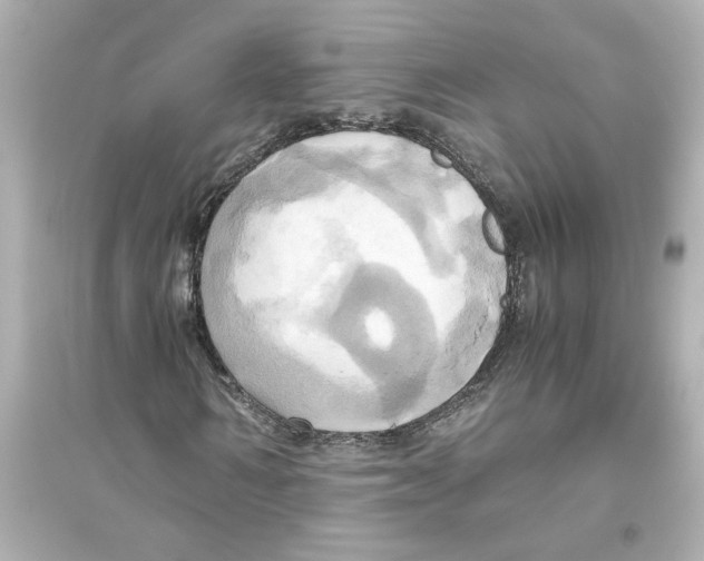 X0000093610962200711121208