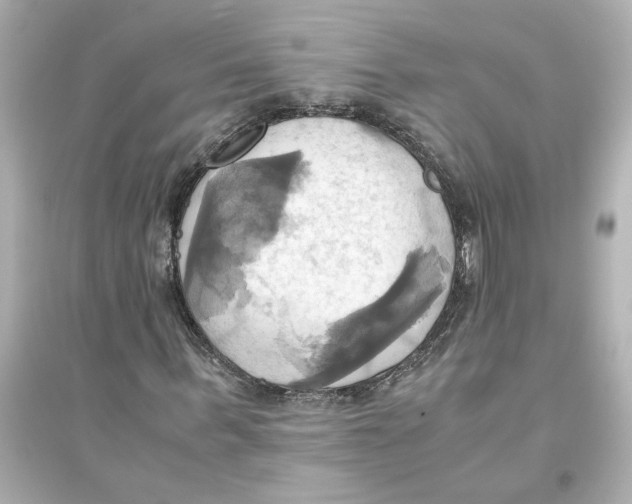 X0000093610963200711121208