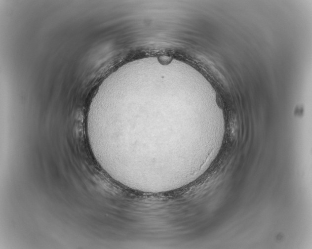 X0000093610964200711121208