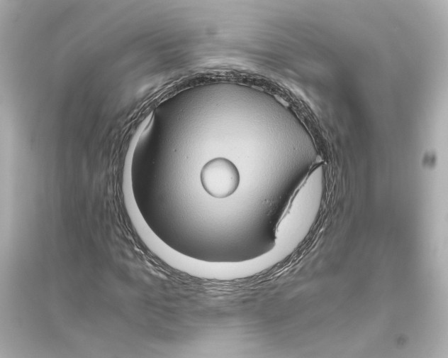 X0000093610965200711121208