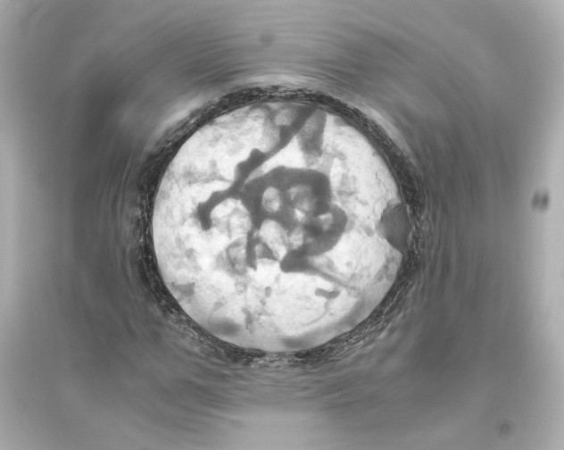 X0000093610967200711121208
