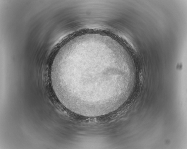 X0000093610968200711121208