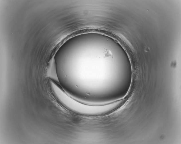 X0000093610969200711121208