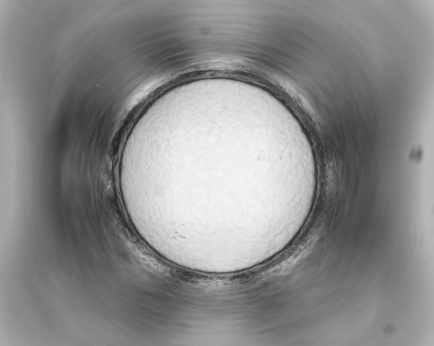 X0000093610970200711121208