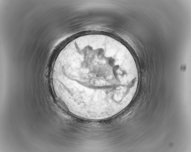 X0000093610971200711121208