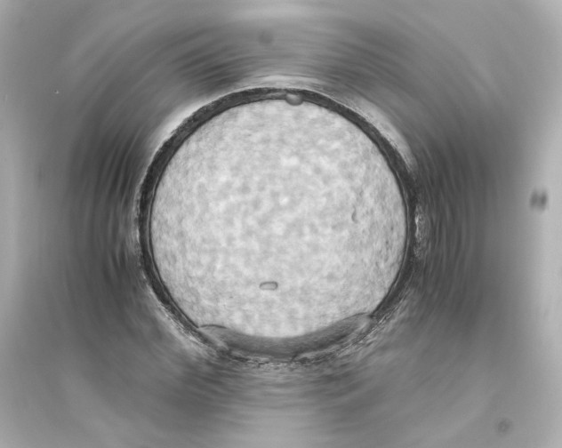X0000093610972200711121208