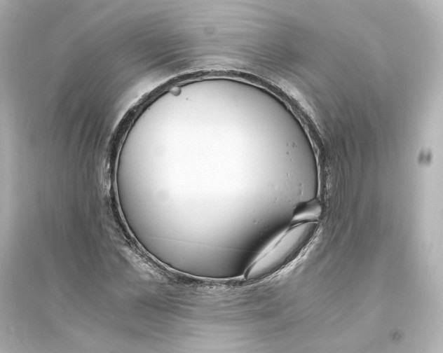 X0000093610973200711121208