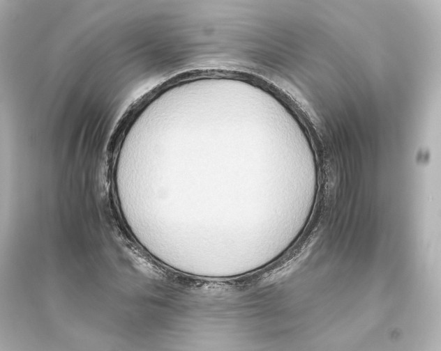 X0000093610974200711121208