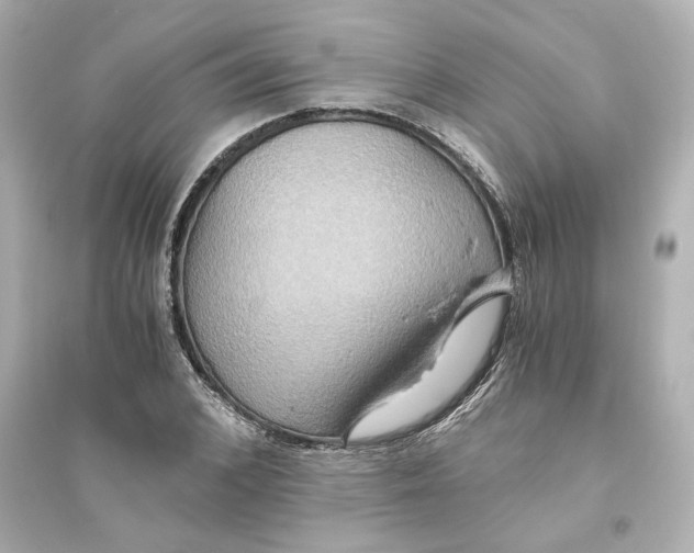 X0000093610976200711121208