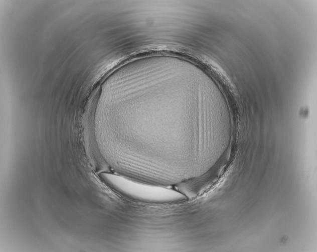 X0000093610977200711121208