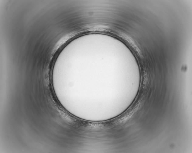 X0000093610978200711121208