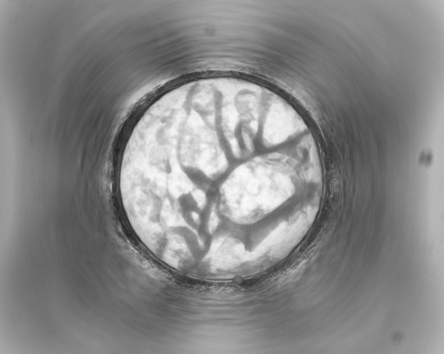 X0000093610979200711121208