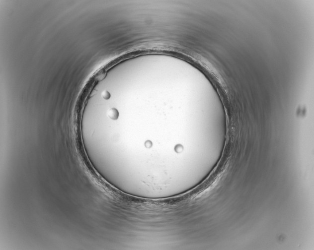 X0000093610981200711121208