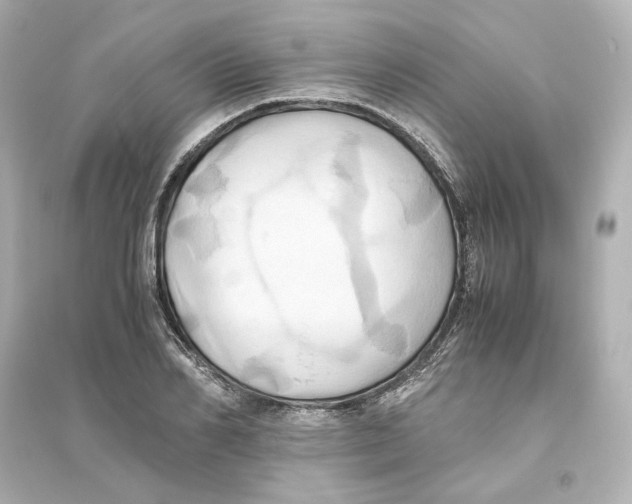 X0000093610982200711121208
