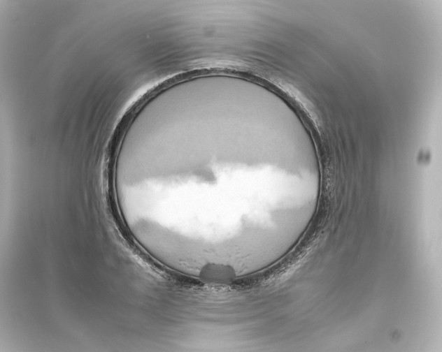 X0000093610983200711121208