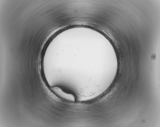 X0000093610984200711121208