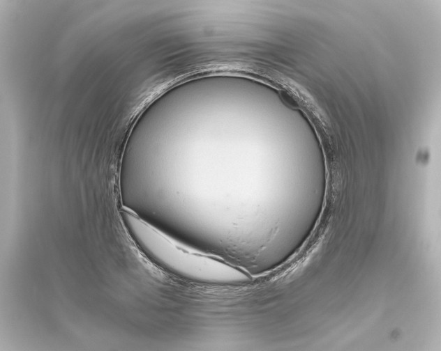 X0000093610985200711121208