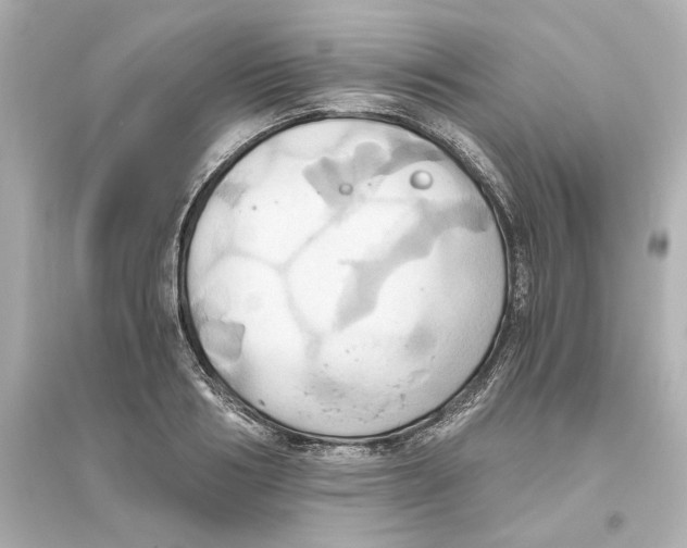 X0000093610986200711121208