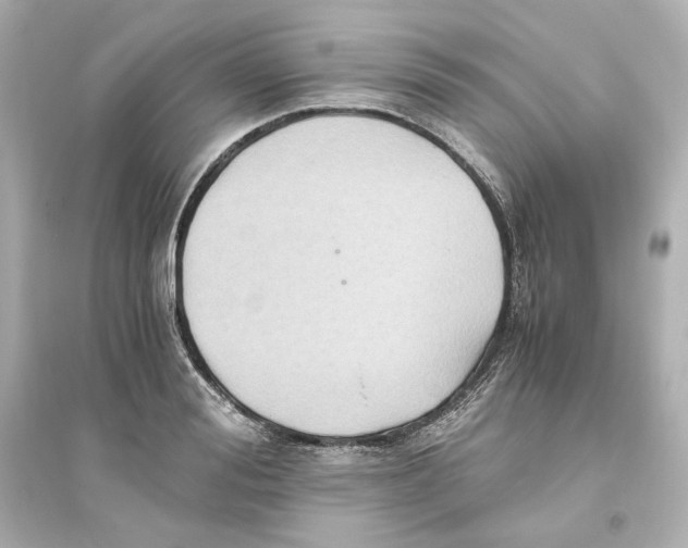 X0000093610988200711121208