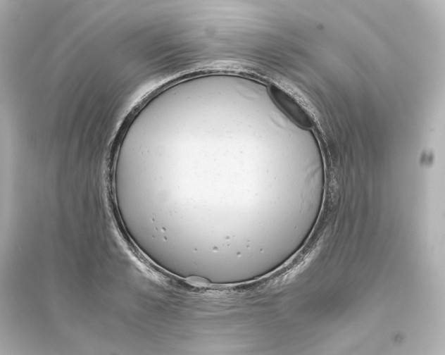 X0000093610989200711121208