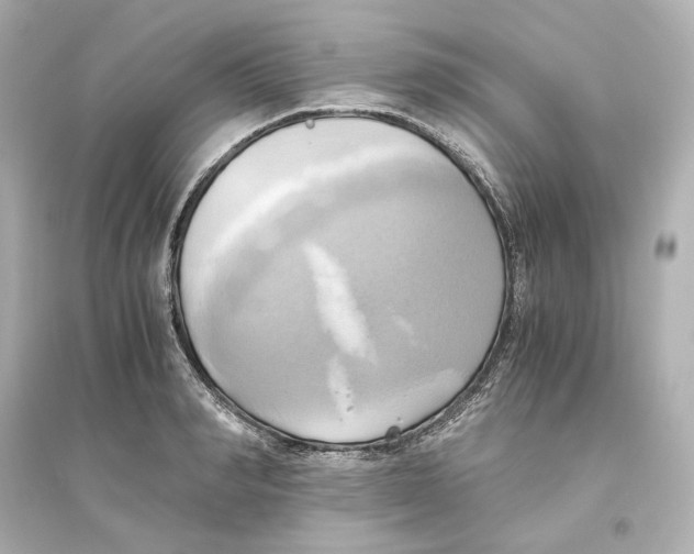 X0000093610990200711121208