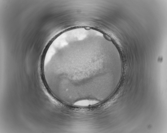 X0000093610991200711121208