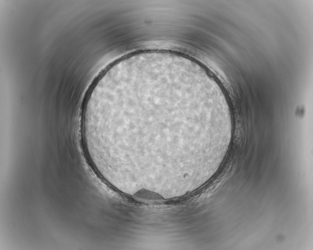 X0000093610992200711121208