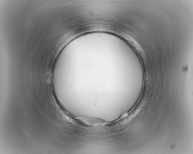 X0000093610993200711121208