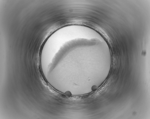 X0000093610994200711121208