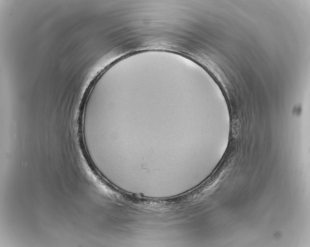 X0000093610995200711121208