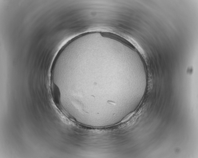 X0000093610996200711121208