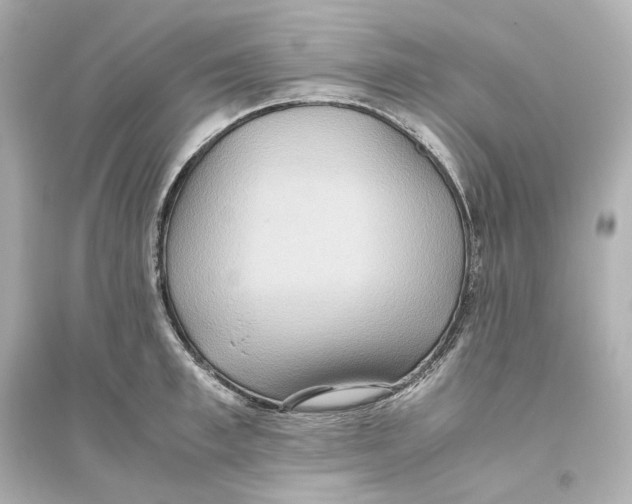 X0000093610997200711121208