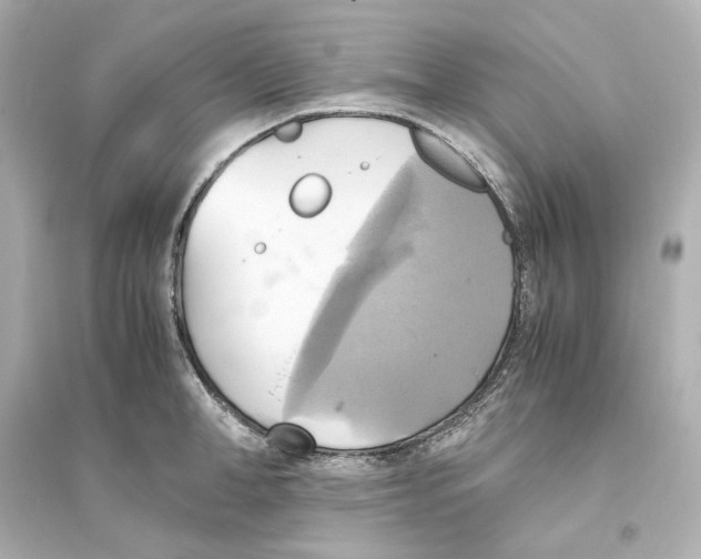 X0000093610998200711121208