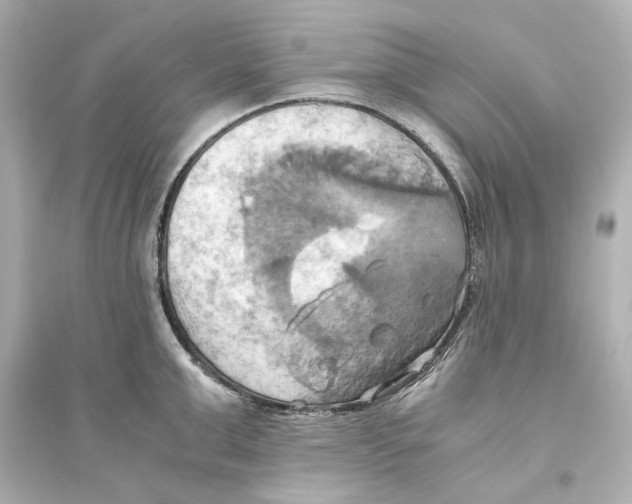 X0000093610999200711121208