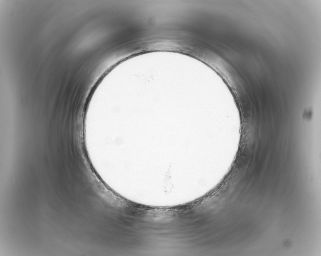 X0000093611000200711121208