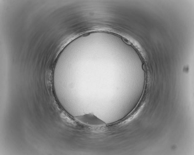 X0000093611001200711121208