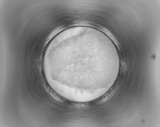 X0000093611002200711121208