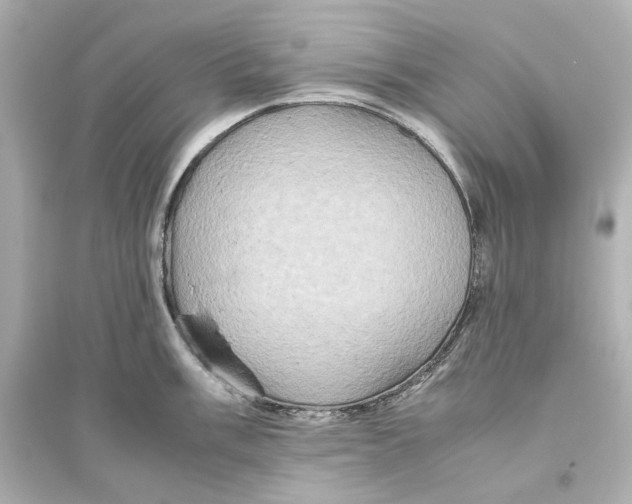 X0000093611003200711121208