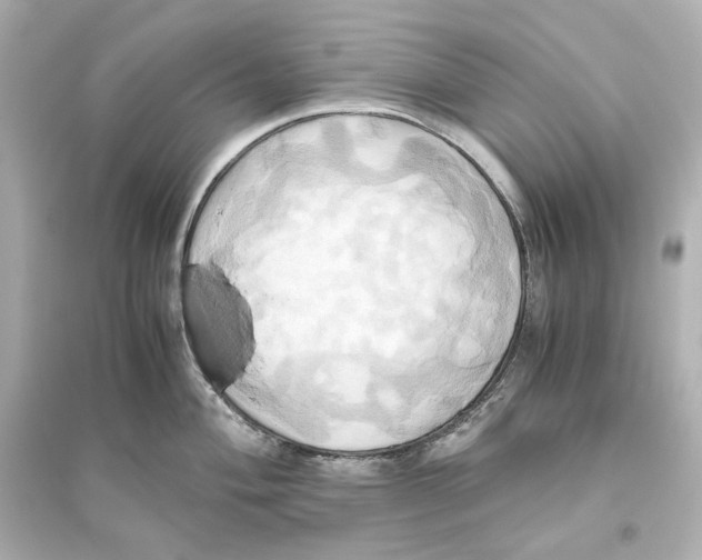 X0000093611004200711121208