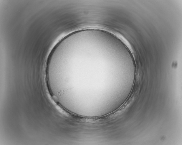 X0000093611005200711121208