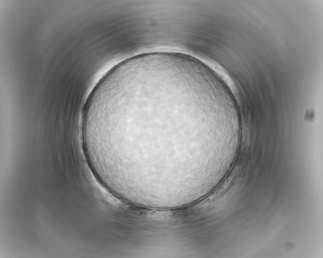X0000093611006200711121208