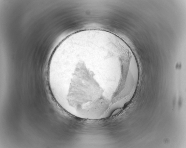 X0000093611008200711121208