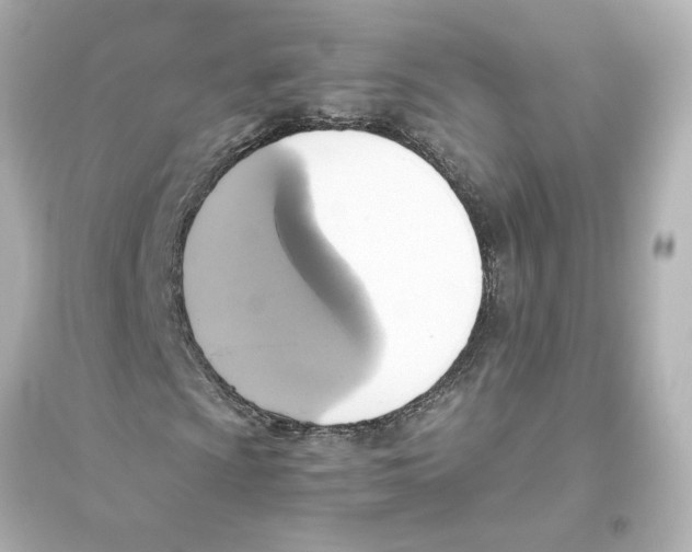 X0000093611009200711121207