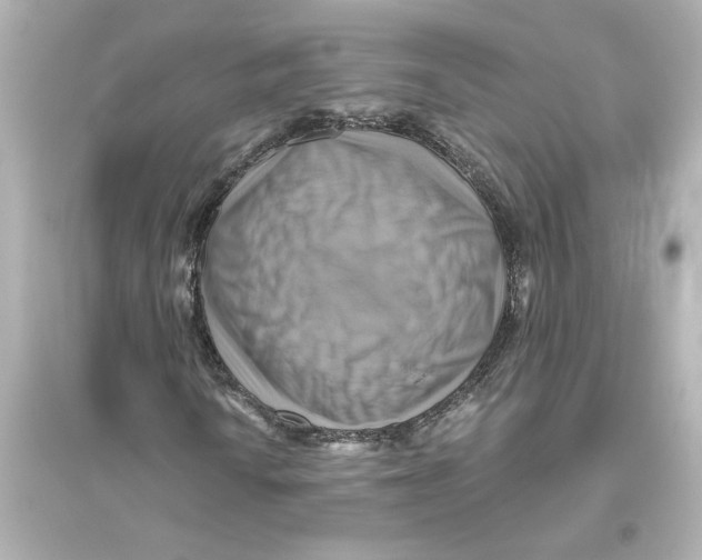 X0000093611010200711121207
