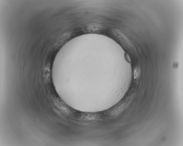 X0000093611011200711121207