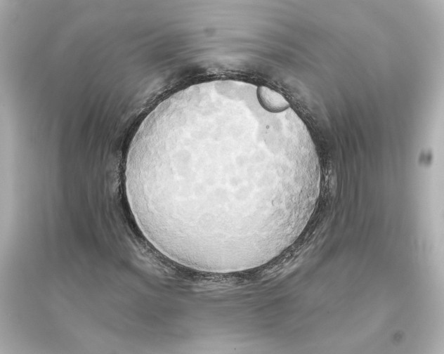 X0000093611012200711121207