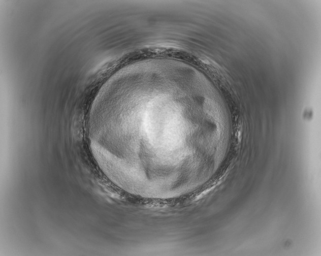 X0000093611014200711121207